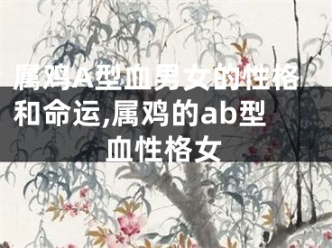 属鸡A型血男女的性格和命运,属鸡的ab型血性格女