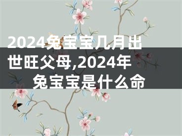 2024兔宝宝几月出世旺父母,2024年兔宝宝是什么命