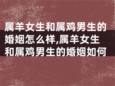 属羊女生和属鸡男生的婚姻怎么样,属羊女生和属鸡男生的婚姻如何