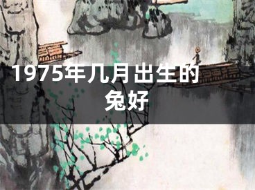 1975年几月出生的兔好
