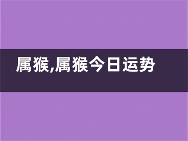 属猴,属猴今日运势