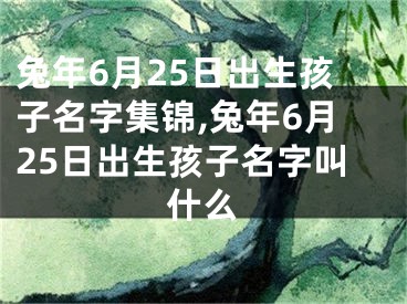 兔年6月25日出生孩子名字集锦,兔年6月25日出生孩子名字叫什么