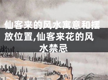 仙客来的风水寓意和摆放位置,仙客来花的风水禁忌