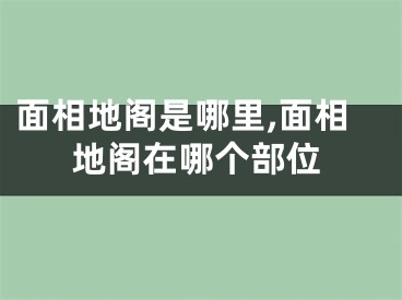 面相地阁是哪里,面相地阁在哪个部位