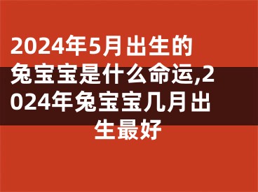 2024年5月出生的兔宝宝是什么命运,2024年兔宝宝几月出生最好