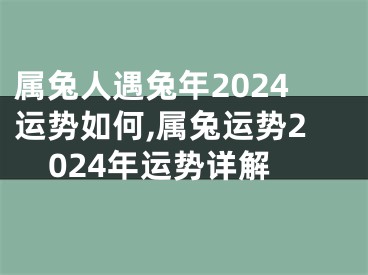 属兔人遇兔年2024运势如何,属兔运势2024年运势详解