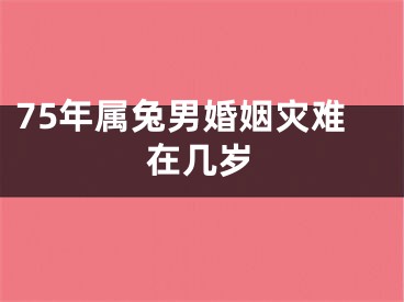 75年属兔男婚姻灾难在几岁