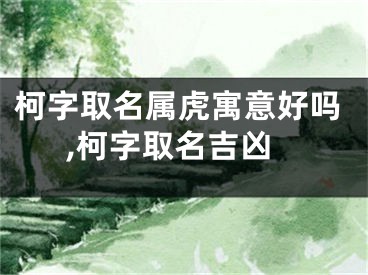 柯字取名属虎寓意好吗,柯字取名吉凶