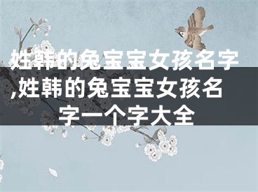 姓韩的兔宝宝女孩名字,姓韩的兔宝宝女孩名字一个字大全