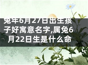 兔年6月27日出生孩子好寓意名字,属兔6月22日生是什么命