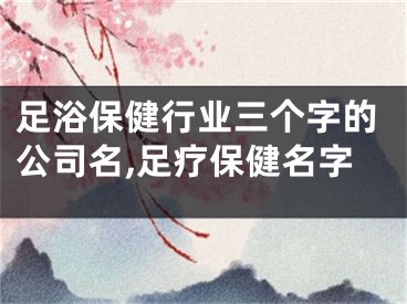 足浴保健行业三个字的公司名,足疗保健名字