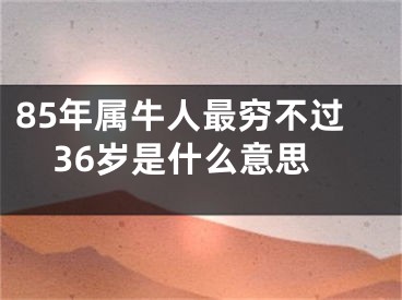 85年属牛人最穷不过36岁是什么意思