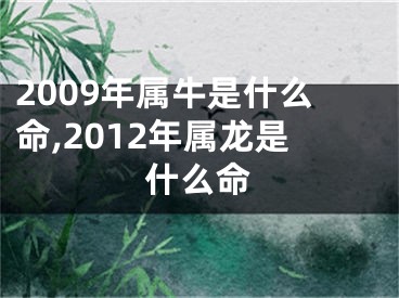 2009年属牛是什么命,2012年属龙是什么命