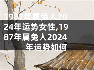 1987年属兔人2024年运势女性,1987年属兔人2024年运势如何