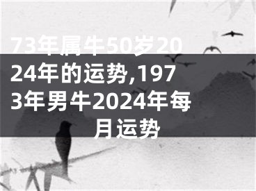 73年属牛50岁2024年的运势,1973年男牛2024年每月运势
