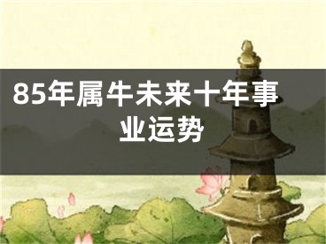 85年属牛未来十年事业运势