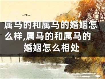 属马的和属马的婚姻怎么样,属马的和属马的婚姻怎么相处