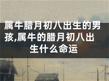 属牛腊月初八出生的男孩,属牛的腊月初八出生什么命运