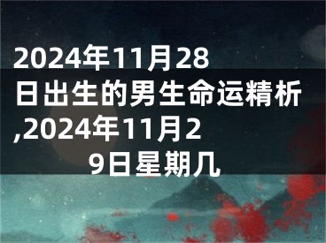 2024年11月28日出生的男生命运精析,2024年11月29日星期几