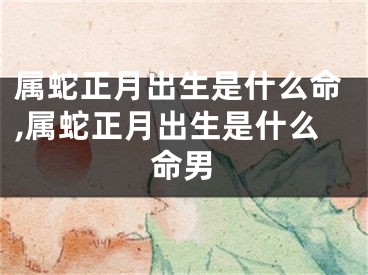 属蛇正月出生是什么命,属蛇正月出生是什么命男