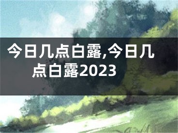 今日几点白露,今日几点白露2023