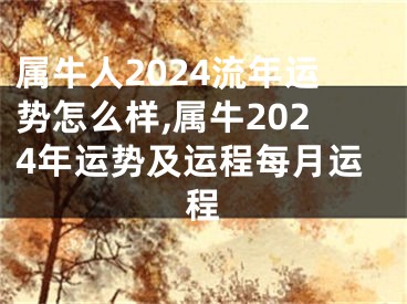 属牛人2024流年运势怎么样,属牛2024年运势及运程每月运程