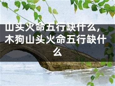 山头火命五行缺什么,木狗山头火命五行缺什么