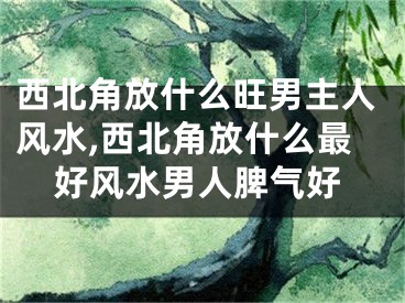 西北角放什么旺男主人风水,西北角放什么最好风水男人脾气好