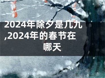2024年除夕是几九,2024年的春节在哪天