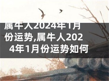 属牛人2024年1月份运势,属牛人2024年1月份运势如何