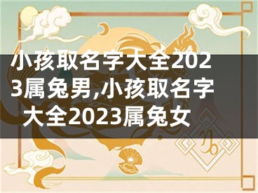 小孩取名字大全2023属兔男,小孩取名字大全2023属兔女