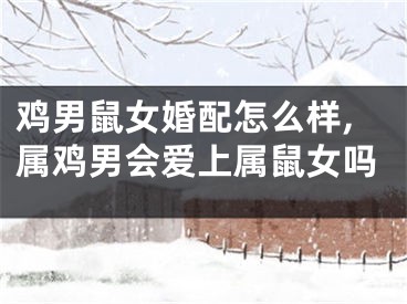 鸡男鼠女婚配怎么样,属鸡男会爱上属鼠女吗