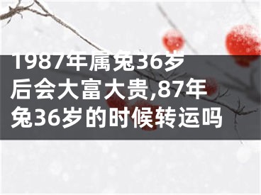 1987年属兔36岁后会大富大贵,87年兔36岁的时候转运吗