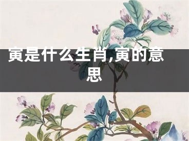 寅是什么生肖,寅的意思