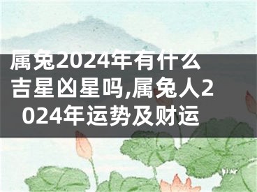 属兔2024年有什么吉星凶星吗,属兔人2024年运势及财运