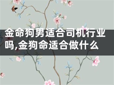 金命狗男适合司机行业吗,金狗命适合做什么