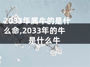 2033年属牛的是什么命,2033年的牛是什么牛