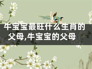 牛宝宝最旺什么生肖的父母,牛宝宝的父母