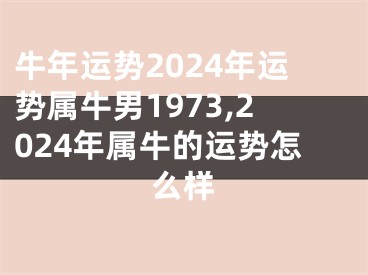 牛年运势2024年运势属牛男1973,2024年属牛的运势怎么样