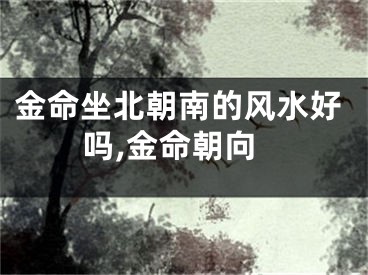 金命坐北朝南的风水好吗,金命朝向