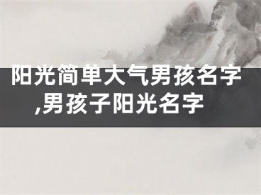 阳光简单大气男孩名字,男孩子阳光名字