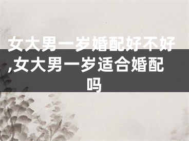 女大男一岁婚配好不好,女大男一岁适合婚配吗