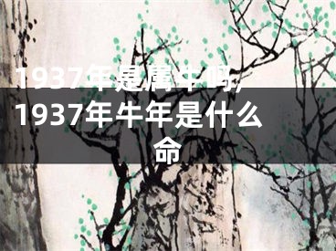 1937年是属牛吗,1937年牛年是什么命