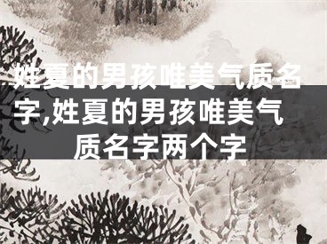 姓夏的男孩唯美气质名字,姓夏的男孩唯美气质名字两个字