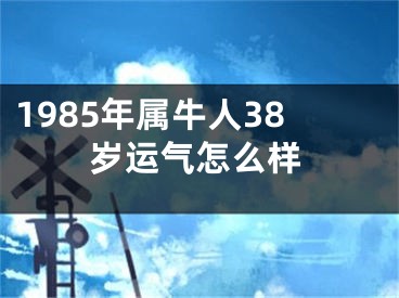 1985年属牛人38岁运气怎么样