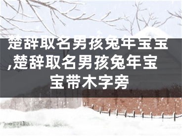 楚辞取名男孩兔年宝宝,楚辞取名男孩兔年宝宝带木字旁