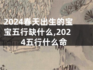 2024春天出生的宝宝五行缺什么,2024五行什么命
