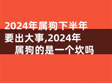 2024年属狗下半年要出大事,2024年属狗的是一个坎吗