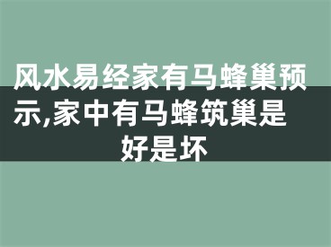 风水易经家有马蜂巢预示,家中有马蜂筑巢是好是坏