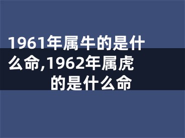 1961年属牛的是什么命,1962年属虎的是什么命